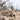 Dogs