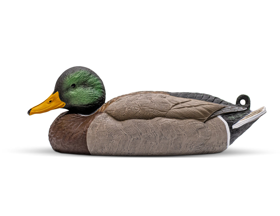 Mainline Series™ Mallard