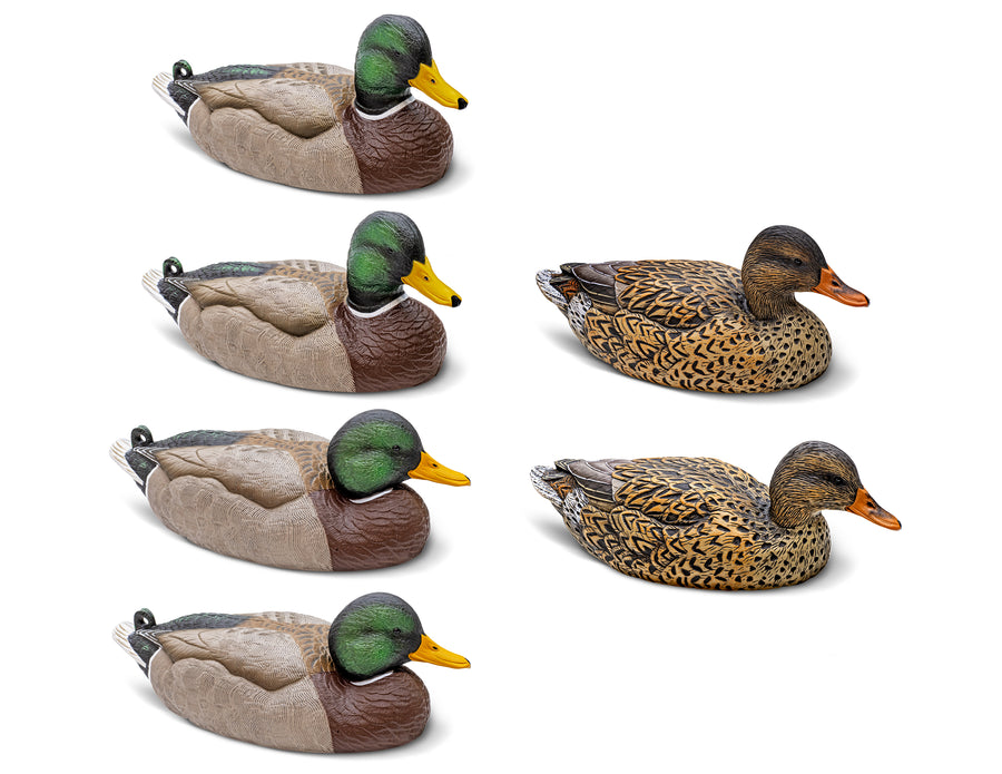 Mainline Series™ Mallard