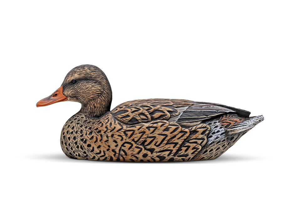 Mainline Series™ Mallard