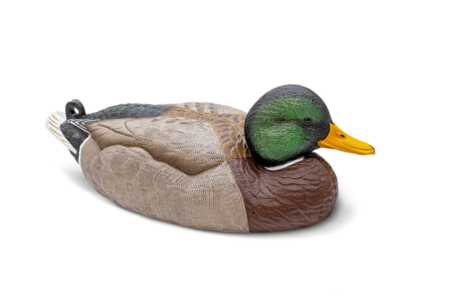 Mainline Series™ Mallard