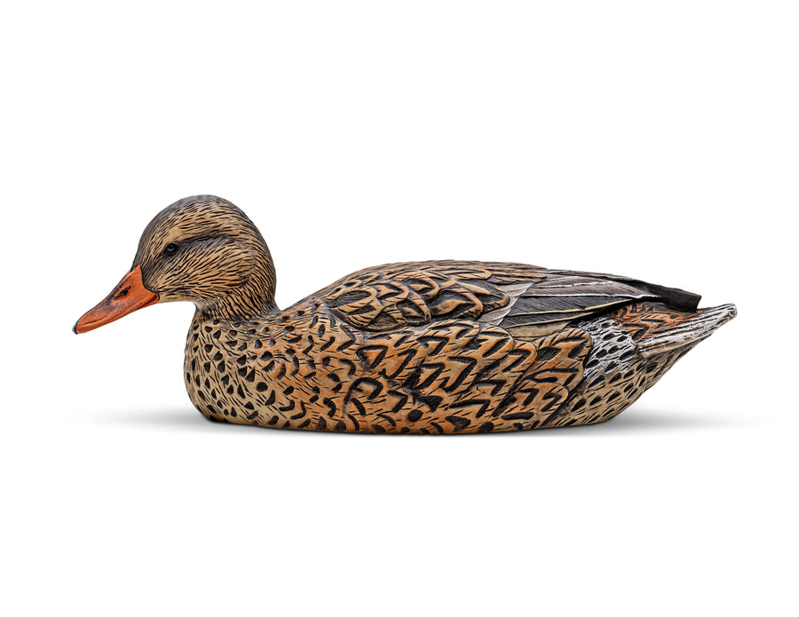 Mainline Series™ Mallard