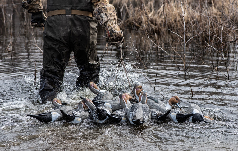 Mainline Series™ Pintail