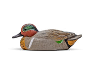 Mainline Series™ Green-winged Teal
