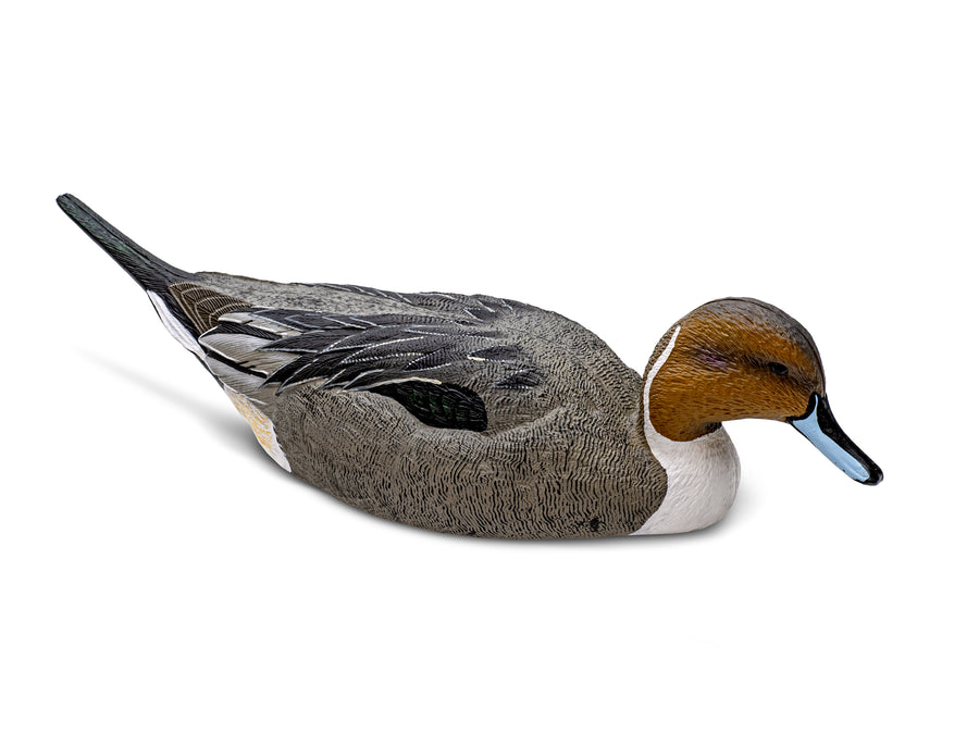 Mainline Series™ Pintail