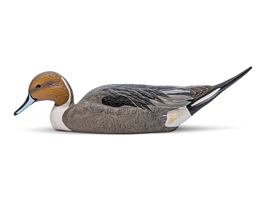 Mainline Series™ Pintail