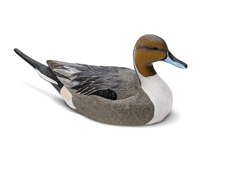 Mainline Series™ Pintail