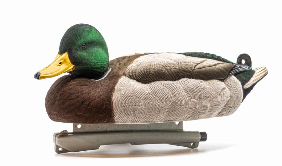 Mainline Series™ Mallard