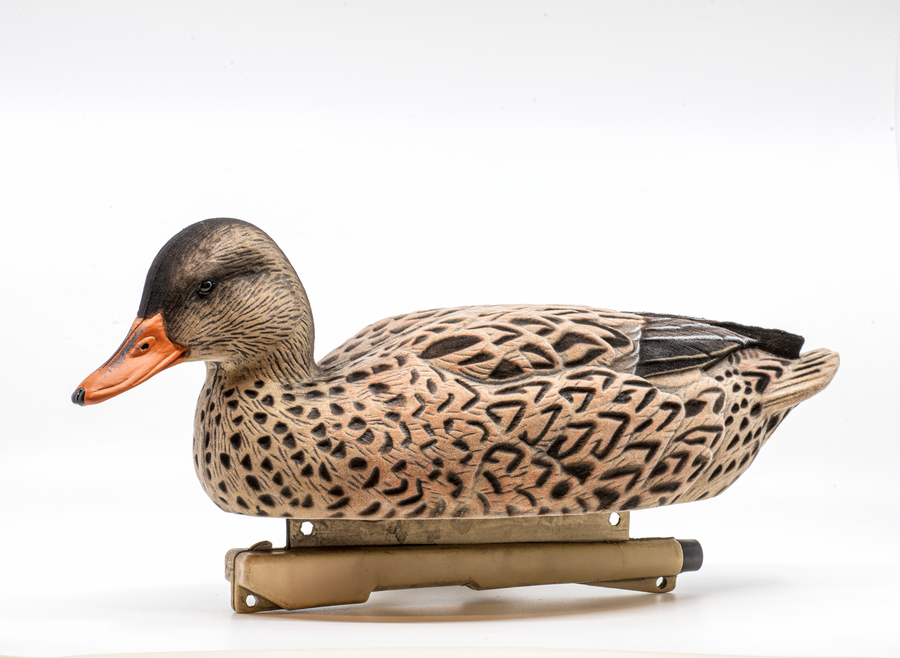 Mainline Series™ Mallard