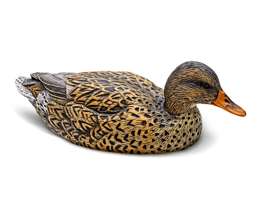 Mainline Series™ Mallard