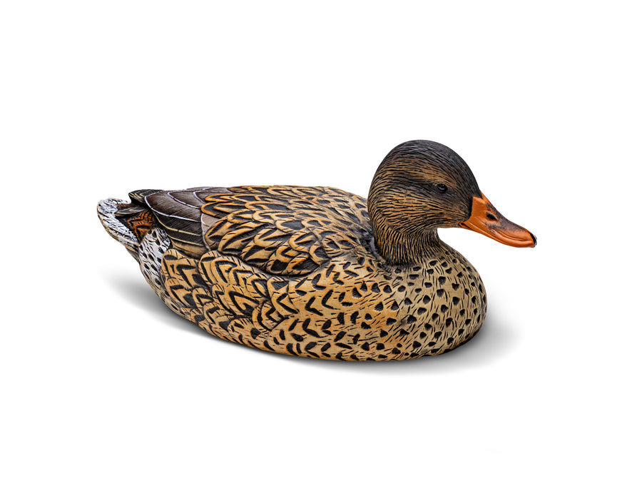 Mainline Series™ Mallard