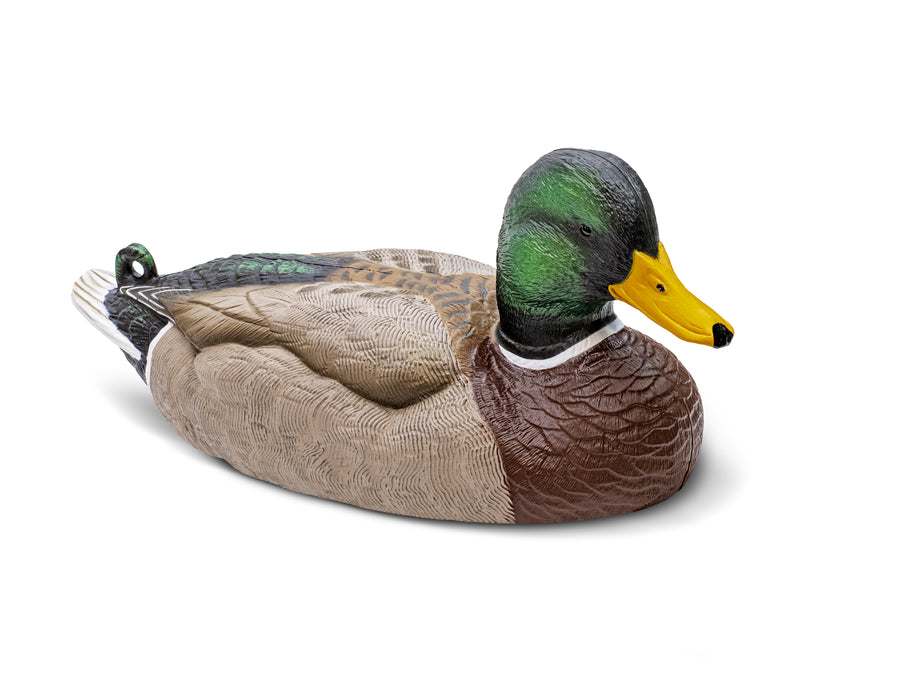 Mainline Series™ Mallard