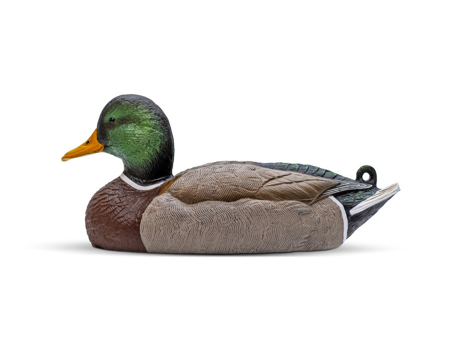 Mainline Series™ Mallard